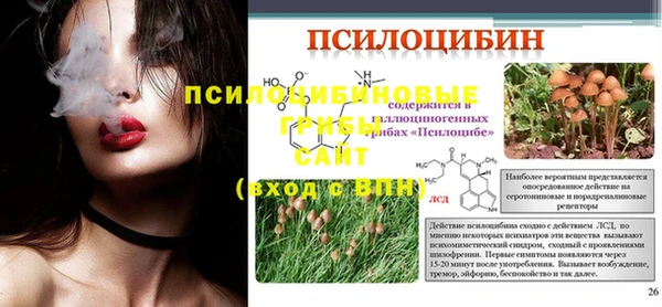 МДПВ Нижний Тагил