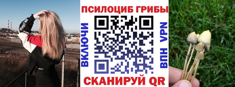 Галлюциногенные грибы GOLDEN TEACHER  Ясногорск 